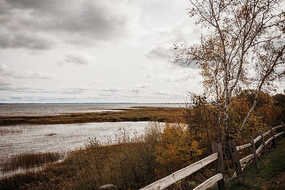 _DSC3155
